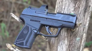 Ruger Max-9Â Review